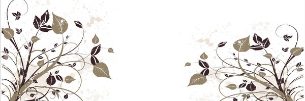Orn 55 %28650x1600%29